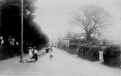 The-Old-Corner-Wishing-Tree-Road-looking-towards-Old-Church-Road.-Hollington.-1908.